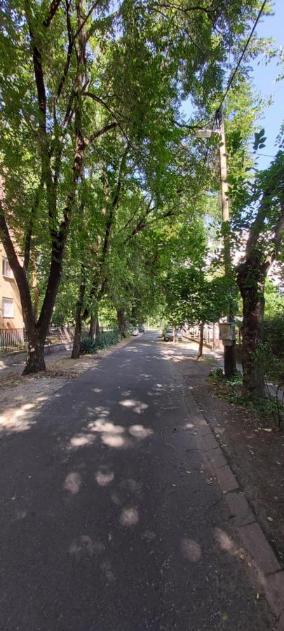 Gabrielle2 apartman Debreţin Exterior foto